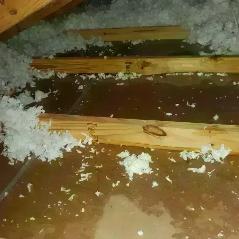 Attic Water Damage in Visalia, CA