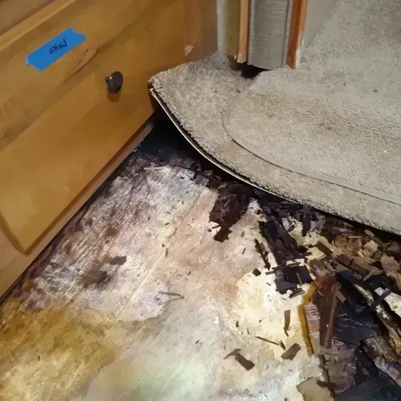 Wood Floor Water Damage in Visalia, CA